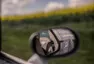 Chevrolet Corvette C3: Dva dny na sto
