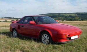 Bazarový snílek: Autíčkář na lovu: Sporťáky pro všechny