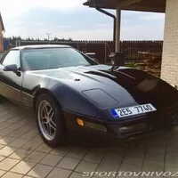 Autíčkář na lovu: Sporťáky pro všechny