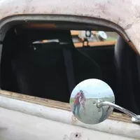 Občas člověk prostě potřebuje rat rod s křídlem