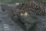 Virtuální volant: Spin Tires