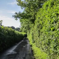 Anglická odysea aneb jak se kupuje speciál na PlechCup