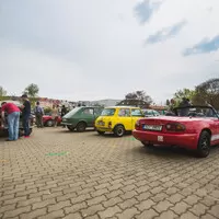 Foto: Marian Medlen