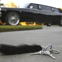 Donk Limo: Předlouhá perverze