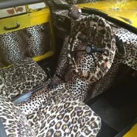 Reliant Rialto - Žirafový express na třech