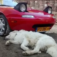 Do Říma s Rudou Potvorou, část druhá