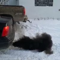Spaste svoje diesely, jejich konec přichází