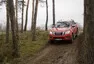 Nissan Navara - komfort, bláto a vánoční stromky