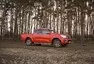 Nissan Navara - komfort, bláto a vánoční stromky