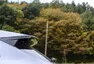 Jaguar F-Pace 2.0d AWD: První velká kočka