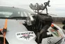Bazarová noční můra: Harley Prius
