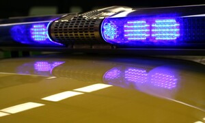 Editorial: Autíčkářova akademie bezpečné jízdy