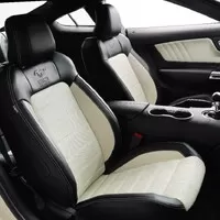 Šílenství kolem 50 let Mustangu začíná speciální edicí a autem na střeše