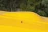 Aston Martin V8 Vantage Volante Zagato je velmi osmdesátkový a velmi žlutý