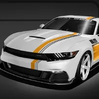 Oslavná edice Mustangu od Saleen zní jako velmi správná kravina