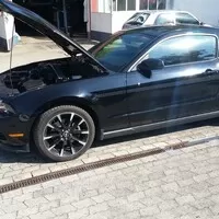 Retro s pádícím koněm ve znaku aneb nejen novým Mustangem živ je petrolehad | Bazarový snílek