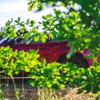 Proč je Mazda MX-5 to nejmužnější auto, které si můžete koupit