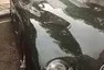Jaguar nakupuje vlastní historii od šíleného zubaře