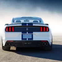 Shelby GT350: Mustang, který se Porsche nebojí