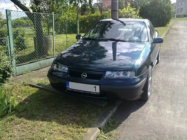 Obrázek v komentáři