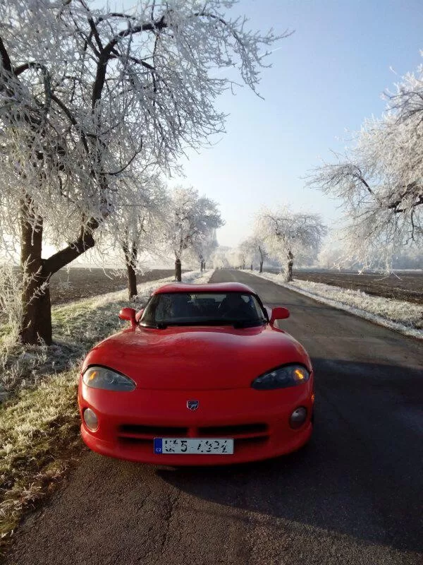 Obrázek v komentáři