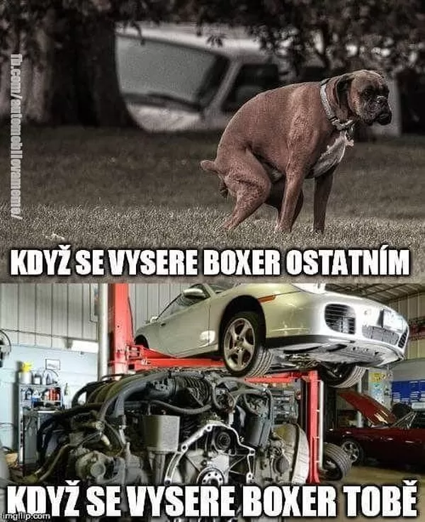 Obrázek v komentáři