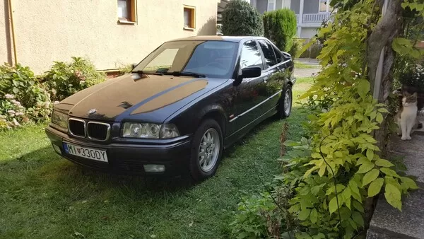 Obrázek v komentáři