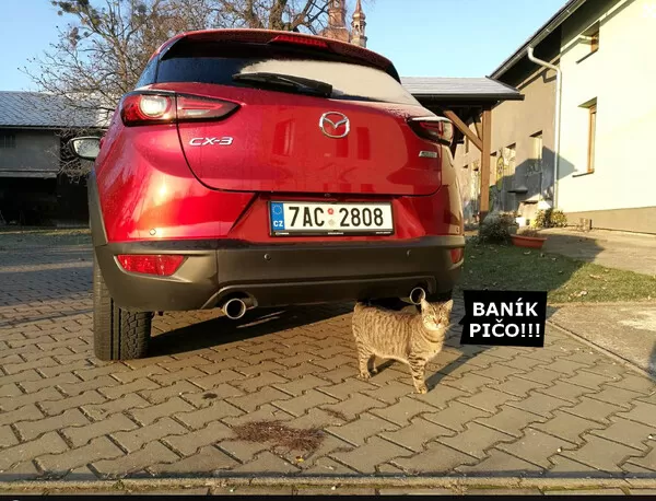 Obrázek v komentáři
