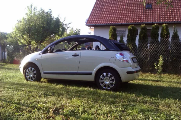 Obrázek v komentáři