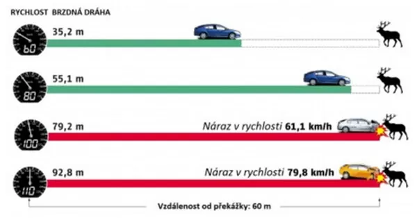 Obrázek v komentáři