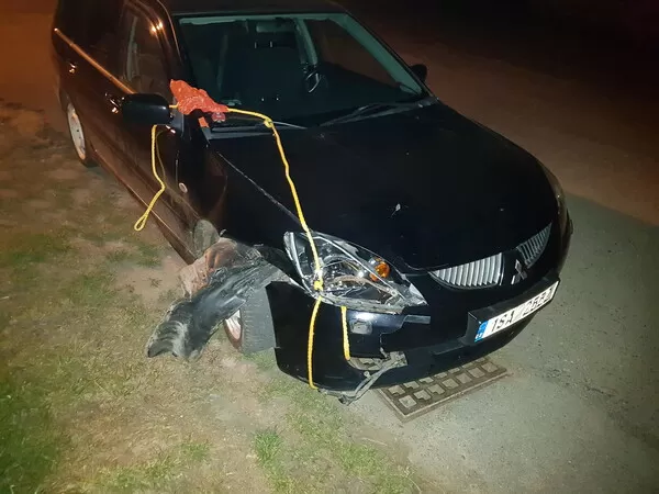 Obrázek v komentáři