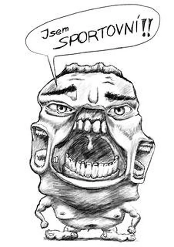 Obrázek v komentáři