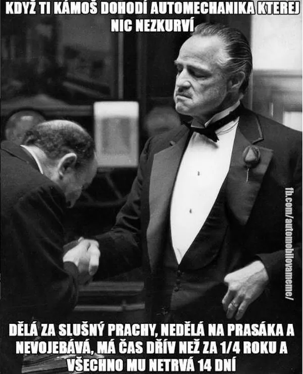 Obrázek v komentáři