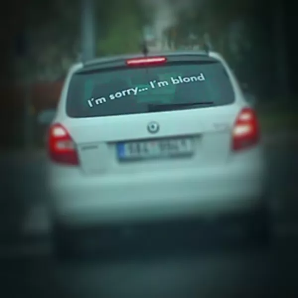 Obrázek v komentáři