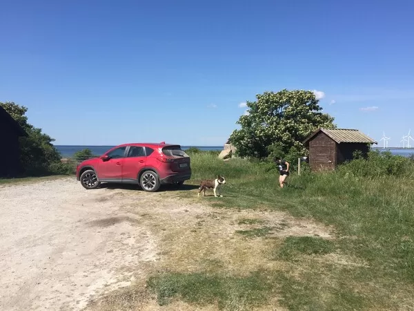 Obrázek v komentáři