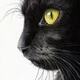 Blix