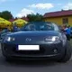 Leo29