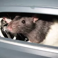 Prospívá auto duševnímu zdraví? Mému rozhodně ano!