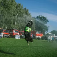 Kamaz day: Babí léto a sirény