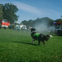 Kamaz day: Babí léto a sirény