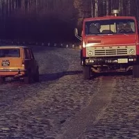 Sibiřští Mustangové