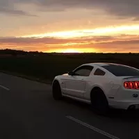 Ford Mustang GT 5.0 S197 M/T