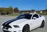 Ford Mustang GT 5.0 S197 M/T