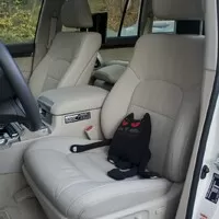 Toyota Land Cruiser 200 5,7 V8: Nejsem cvok. Prostě jen vím, co chci