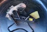 #2 Ford Orion - auto co jsem (ne)chtěl - renovace začíná