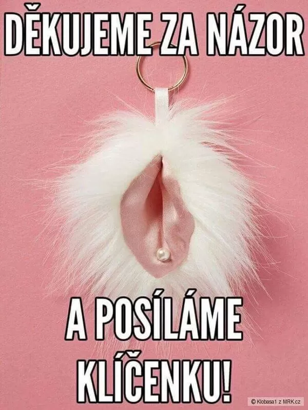 Obrázek v komentáři