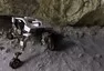 Hyundai míří na měsíc