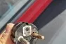 Elektrický valčík: Mají dnes Husité novou konkurenci?