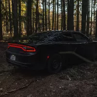 Dodge Charger Pursuit: Proč plecháče?