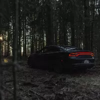 Dodge Charger Pursuit: Proč plecháče?